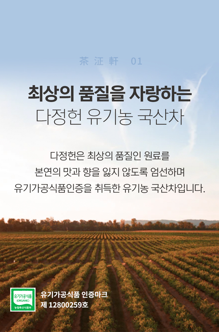 유기농국산차_02_02.jpg