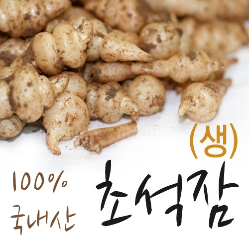 초석잠(생물) 300g 제품사진