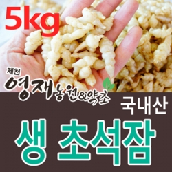 생 초석잠 5kg